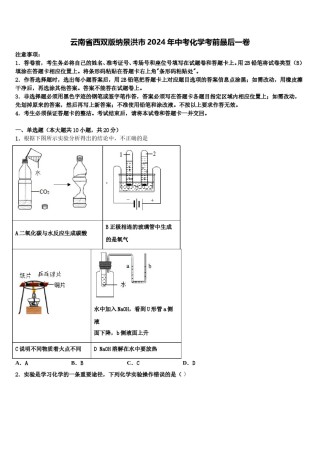 云南省西双版纳景洪市2024年中考化学考前最后一卷含解析.doc