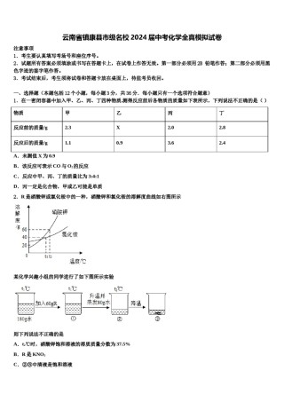 云南省镇康县市级名校2024届中考化学全真模拟试卷含解析.doc