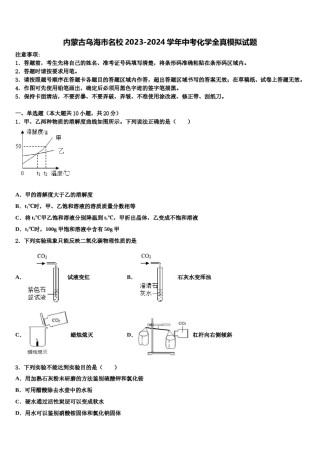 内蒙古乌海市名校2023-2024学年中考化学全真模拟试题含解析.doc