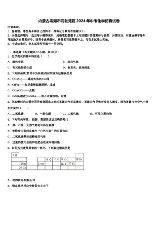 内蒙古乌海市海勃湾区2024年中考化学仿真试卷含解析.doc