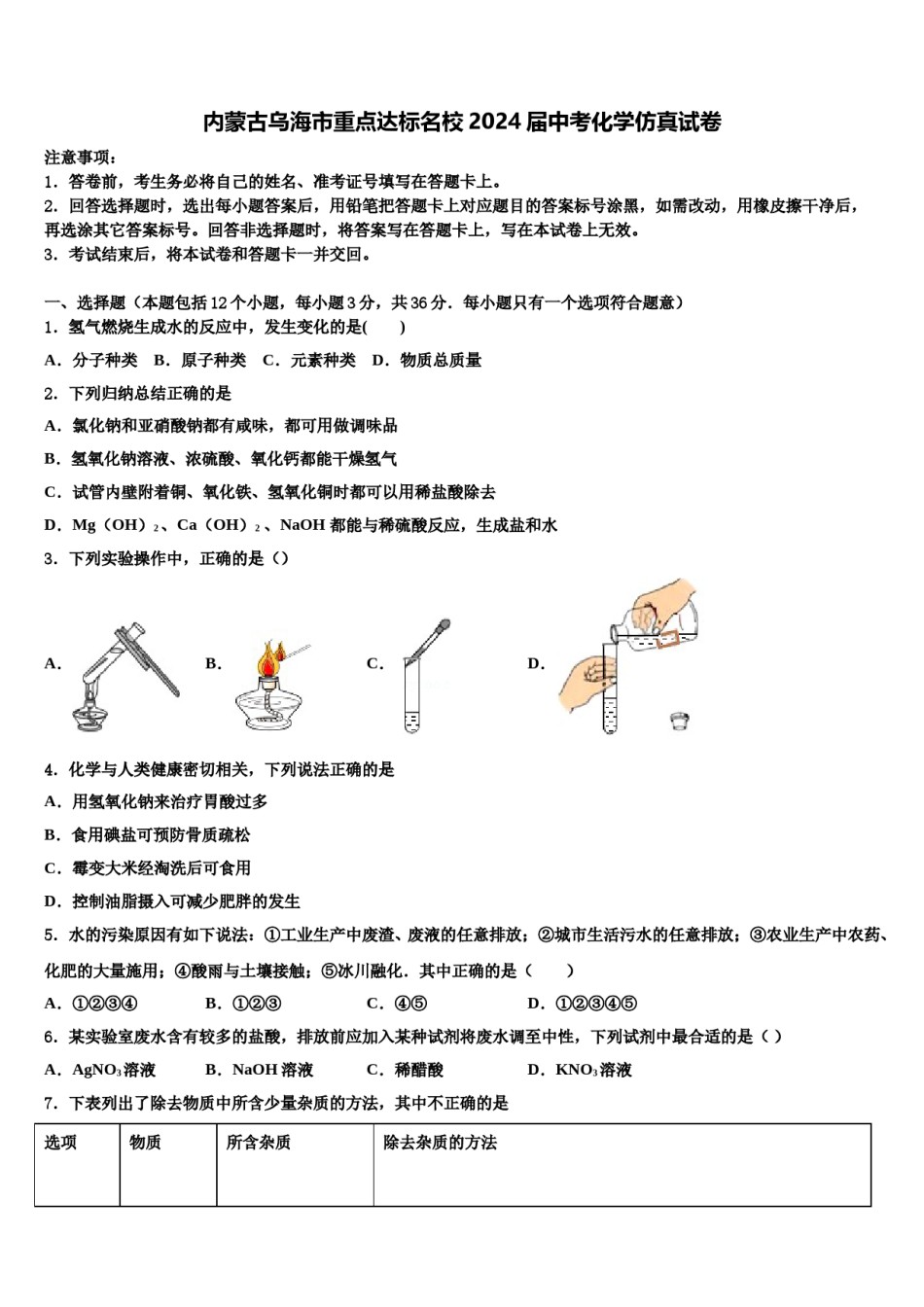 内蒙古乌海市重点达标名校2024届中考化学仿真试卷含解析.doc_第1页