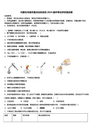 内蒙古乌海市重点达标名校2024届中考化学仿真试卷含解析.doc