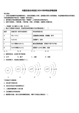 内蒙古包头市名校2024年中考化学模试卷含解析.doc
