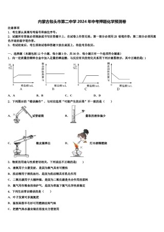 内蒙古包头市第二中学2024年中考押题化学预测卷含解析.doc