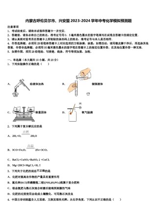 内蒙古呼伦贝尔市、兴安盟2023-2024学年中考化学模拟预测题含解析.doc