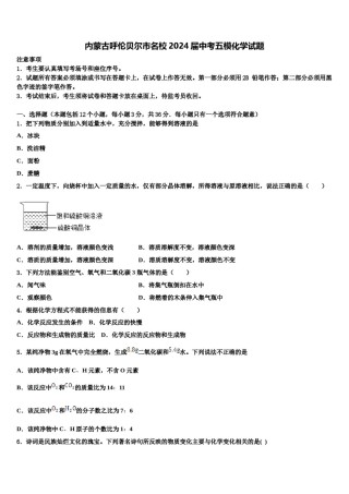 内蒙古呼伦贝尔市名校2024届中考五模化学试题含解析.doc