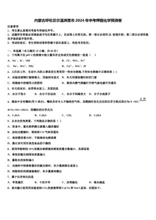 内蒙古呼伦贝尔满洲里市2024年中考押题化学预测卷含解析.doc