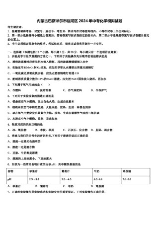 内蒙古巴彦淖尔市临河区2024年中考化学模拟试题含解析.doc