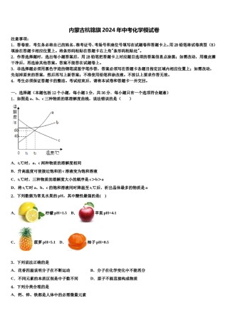内蒙古杭锦旗2024年中考化学模试卷含解析.doc