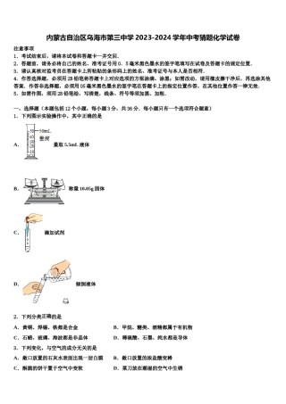 内蒙古自治区乌海市第三中学2023-2024学年中考猜题化学试卷含解析.doc