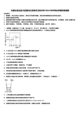 内蒙古自治区兴安盟乌兰浩特市卫东中学2024年中考化学模拟预测题含解析.doc