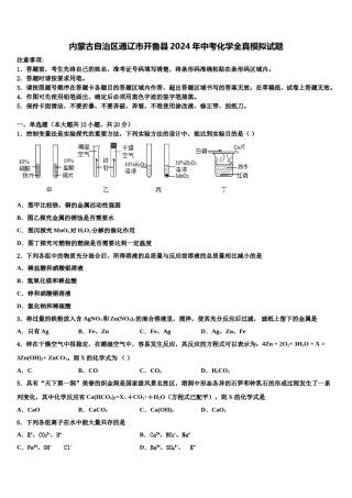 内蒙古自治区通辽市开鲁县2024年中考化学全真模拟试题含解析.doc