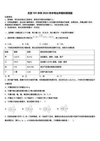 北京101中学2024年中考化学模拟预测题含解析.doc