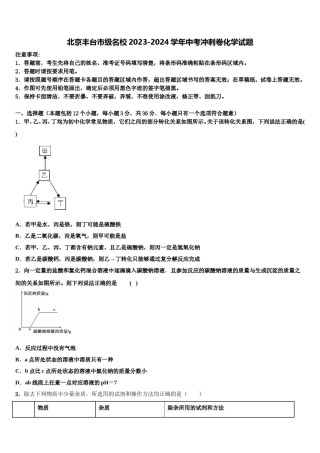 北京丰台市级名校2023-2024学年中考冲刺卷化学试题含解析.doc