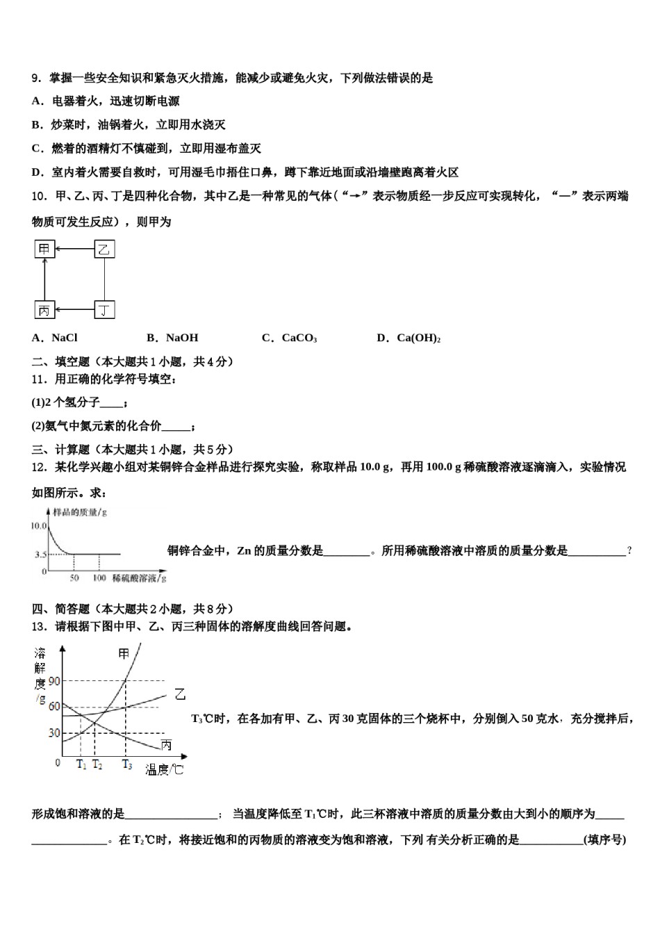 北京二中学教育集团2023-2024学年中考化学最后冲刺浓缩精华卷含解析.doc_第3页
