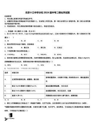 北京十三中学分校2024届中考二模化学试题含解析.doc