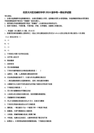 北京大兴区北臧村中学2024届中考一模化学试题含解析.doc