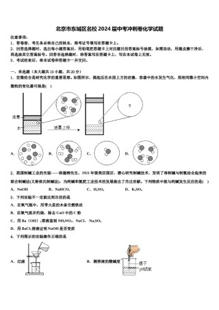 北京市东城区名校2024届中考冲刺卷化学试题含解析.doc