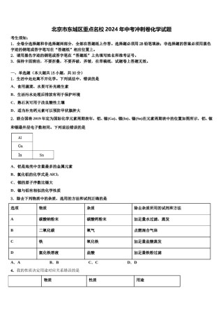北京市东城区重点名校2024年中考冲刺卷化学试题含解析.doc