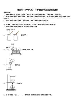 北京市八十中学2024年中考化学对点突破模拟试卷含解析.doc