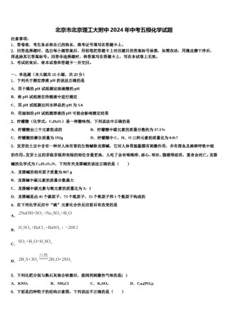 北京市北京理工大附中2024年中考五模化学试题含解析.doc