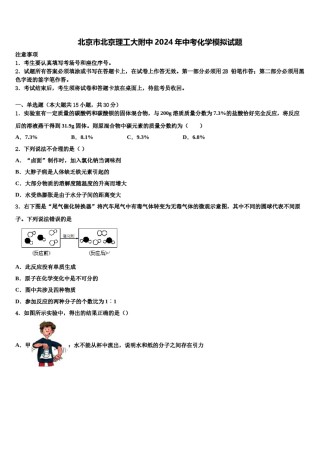 北京市北京理工大附中2024年中考化学模拟试题含解析.doc