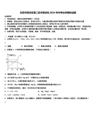 北京市延庆区第二区市级名校2024年中考化学模拟试题含解析.doc