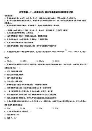 北京市第一七一中学2024届中考化学最后冲刺模拟试卷含解析.doc