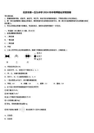 北京市第一五九中学2024年中考押题化学预测卷含解析.doc