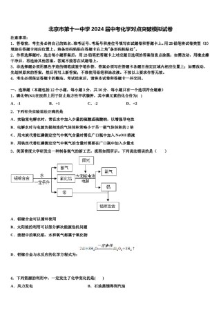 北京市第十一中学2024届中考化学对点突破模拟试卷含解析.doc