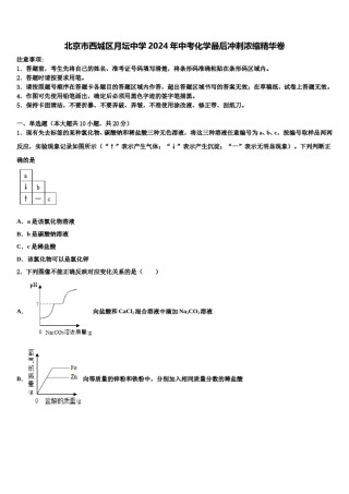 北京市西城区月坛中学2024年中考化学最后冲刺浓缩精华卷含解析.doc