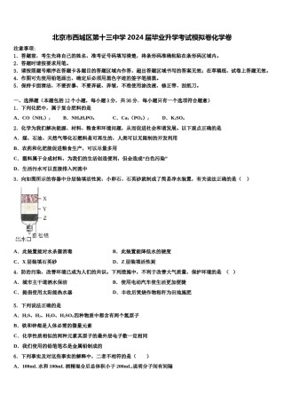 北京市西城区第十三中学2024届毕业升学考试模拟卷化学卷含解析.doc