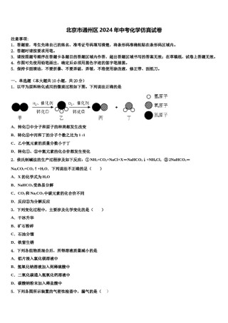 北京市通州区2024年中考化学仿真试卷含解析.doc