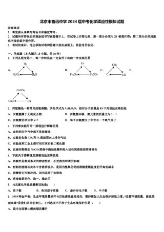北京市鲁迅中学2024届中考化学适应性模拟试题含解析.doc