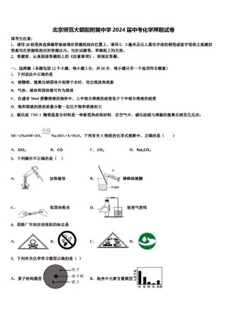北京师范大朝阳附属中学2024届中考化学押题试卷含解析.doc