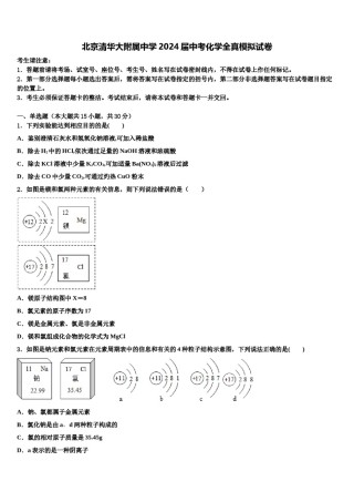 北京清华大附属中学2024届中考化学全真模拟试卷含解析.doc