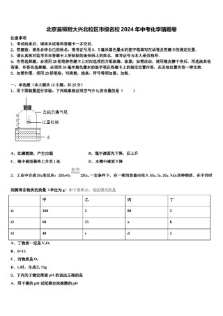 北京首师附大兴北校区市级名校2024年中考化学猜题卷含解析.doc