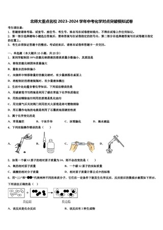 北师大重点名校2023-2024学年中考化学对点突破模拟试卷含解析.doc