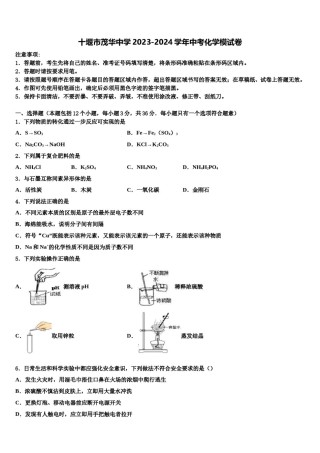 十堰市茂华中学2023-2024学年中考化学模试卷含解析.doc