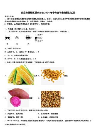 南京市鼓楼区重点名校2024年中考化学全真模拟试题含解析.doc
