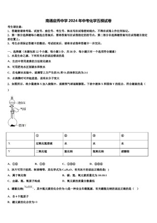 南通启秀中学2024年中考化学五模试卷含解析.doc
