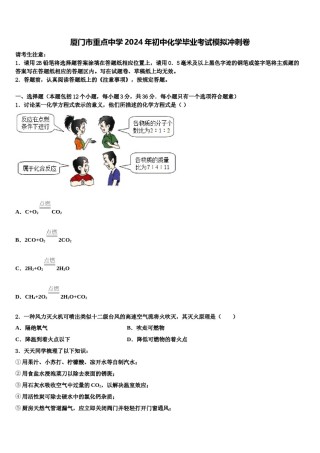 厦门市重点中学2024年初中化学毕业考试模拟冲刺卷含解析.doc