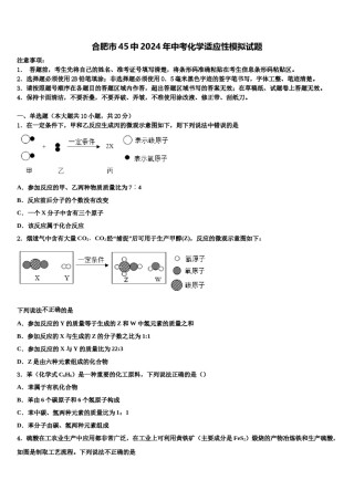 合肥市45中2024年中考化学适应性模拟试题含解析.doc