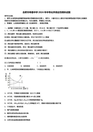 合肥市寿春中学2024年中考化学适应性模拟试题含解析.doc