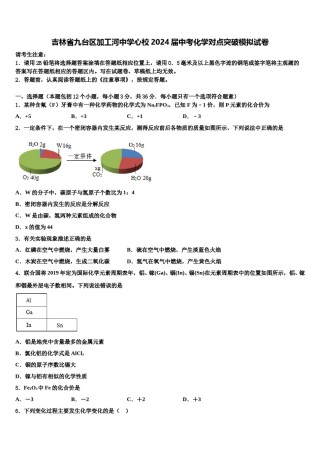 吉林省九台区加工河中学心校2024届中考化学对点突破模拟试卷含解析.doc