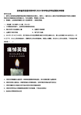 吉林省农安县华家中学2024年中考化学考试模拟冲刺卷含解析.doc