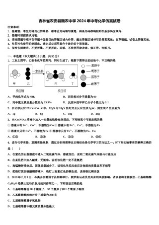 吉林省农安县新农中学2024年中考化学仿真试卷含解析.doc