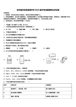 吉林省农安县普通中学2024届中考试题猜想化学试卷含解析.doc