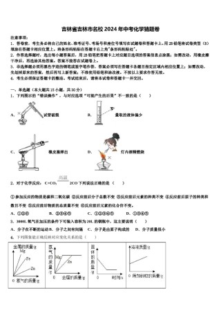吉林省吉林市名校2024年中考化学猜题卷含解析.doc