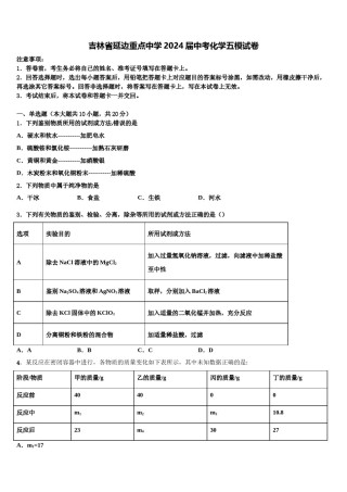 吉林省延边重点中学2024届中考化学五模试卷含解析.doc